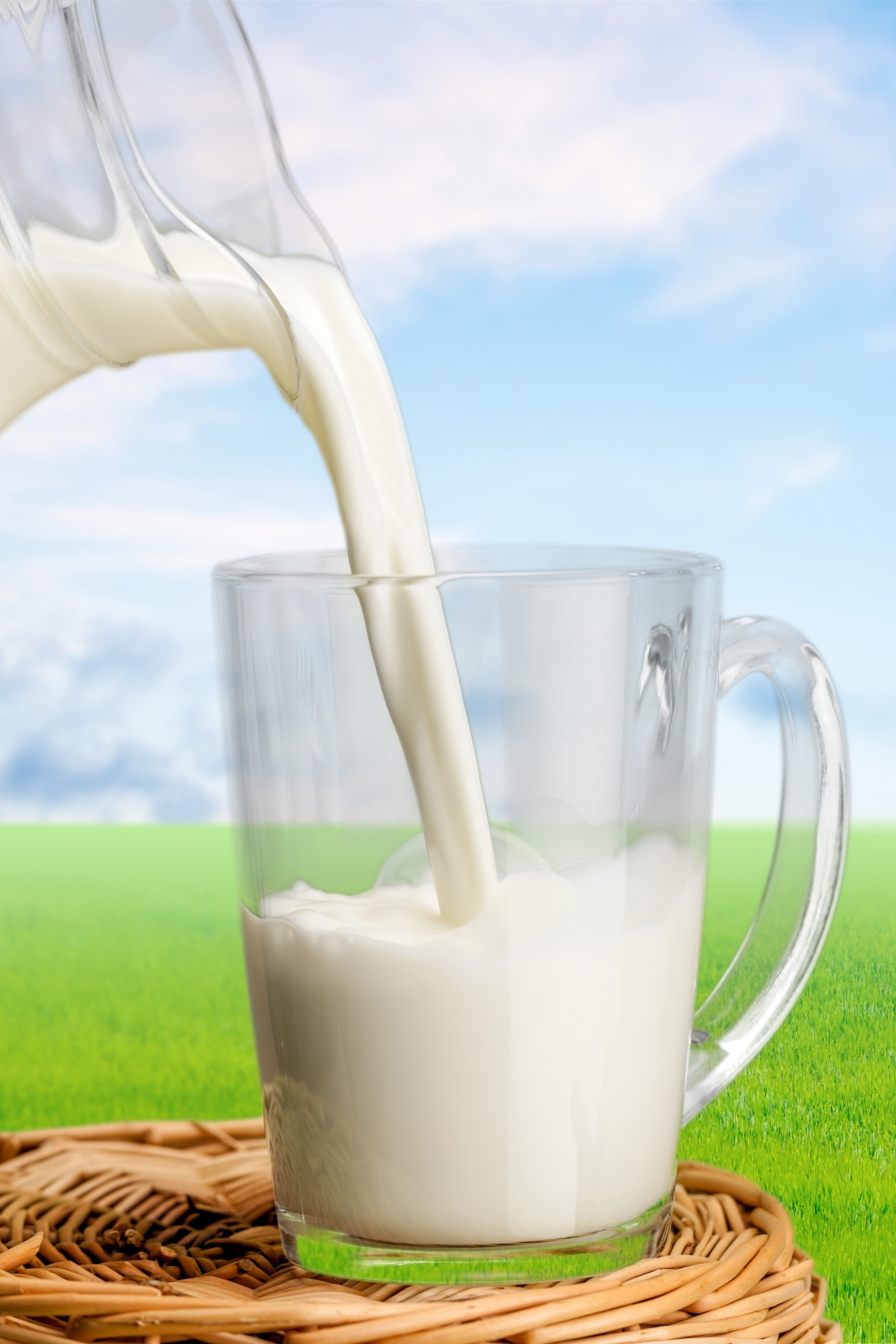 Dairy Farm